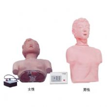  半身心肺復(fù)蘇訓(xùn)練模擬人KAS-CPR170  簡易型