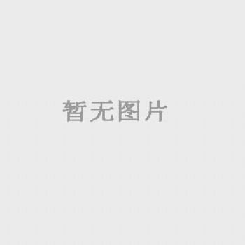 上海天平數(shù)字式粘度計(jì)SNB-1 