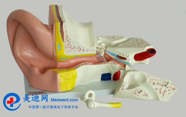 益聯(lián)  耳結(jié)構(gòu)放大模型  YLM2090